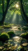 Sunbeams filtering through trees illuminating mossy creek photo