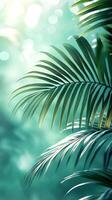 Tropical palm leaves swaying in gentle sunlight creating bokeh effect photo