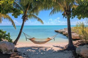 Hammock hanging between two palm trees on tropical beach photo