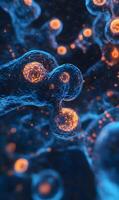 Abstract microscopic cellular life forms showcase glowing internal structures and intricate details photo