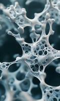 Intricate network of cellular connections, abstract biological formations in microscopic view photo