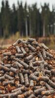 Pellets biomass close up on background photo