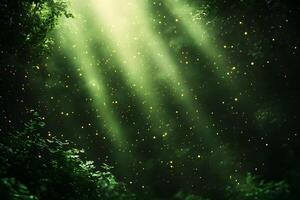 Enchanted Forest with Sunlight and Floating Particles - Mystical Nature Background for Design photo