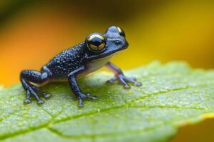 Vibrant Amazonian Tree Frog on Leaf with Bokeh Background - Nature Photography for Posters and Prints photo