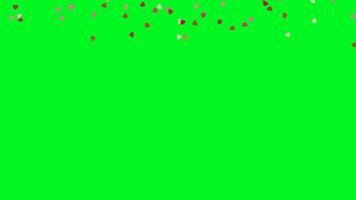 une romantique la Saint-Valentin thème animation avec cœurs dans divers couleurs chute de Haut à bas à Aléatoire lieux. parfait pour chrominance clé utilisation dans vidéos, présentations, ou la Saint-Valentin journée projets video