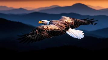 Majestic Bald Eagle Soaring High Above Mountain Ranges at Sunset Wildlife photo