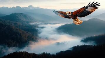 Majestic Eagle Soaring Above Misty Mountain Peaks and Forests at Sunrise photo