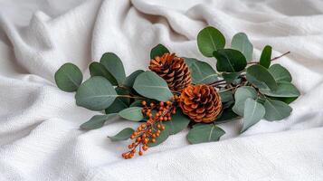 Elegant Pine Cones Eucalyptus Branch and Berries on White Fabric Background for Autumn Winter Holiday Decoration photo