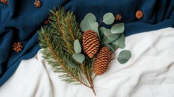 Winter Festive Arrangement Pine Branch Eucalyptus Cones on White and Blue Fabric Background photo