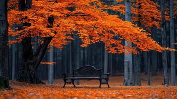 Serene Autumn Scene Ornate Bench Under Vibrant Orange Leaves in a Mystical Forest photo