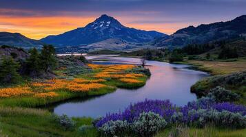 Serene Sunset Landscape River flows through vibrant wildflowers towards majestic mountain peak at golden hour photo