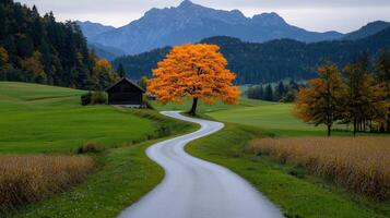 Winding Country Road Autumn Landscape with Vibrant Orange Tree and Mountain Background photo