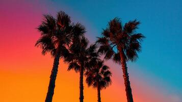 Vibrant Sunset Silhouette of Three Palm Trees Tropical Summer Vacation Paradise photo