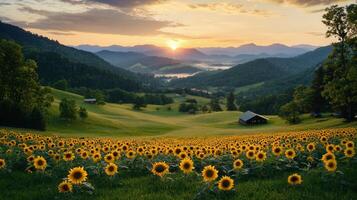 Sunrise over rolling hills and sunflower field scenic landscape Beautiful rural farm setting at dawn photo