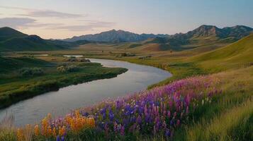 Serene River Landscape Wildflowers Bloom Beside a Winding River in a Mountain Valley at Sunset photo
