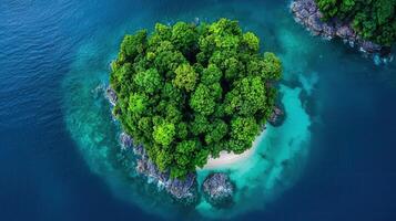 Lush Tropical Island Paradise Aerial View of a Secluded Island with Turquoise Waters and Green Foliage photo