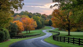 Scenic Autumn Country Road Winding Through Colorful Trees and Pastures with a Black Wooden Fence photo