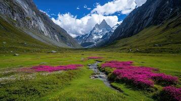 Serene Mountain Valley Landscape with Blooming Flowers and Stream Scenic View of Majestic Peak photo