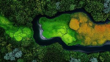 Aerial View of Lush Green Forest with Winding River and Yellow Flowers A Stunning Nature Landscape Image photo