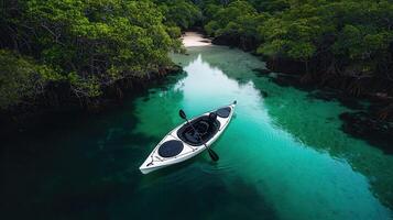 Serene Kayak Adventure in a Tropical Mangrove Estuary Crystal Clear Water and Lush Green Foliage photo