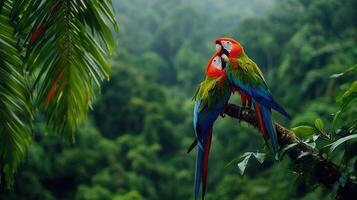 Two Colorful Macaws Perched on Branch Rainforest Background Vivid Tropical Birds Wildlife photo