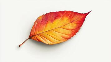 A vibrant autumn leaf showcasing shades of orange and red against a light background. photo