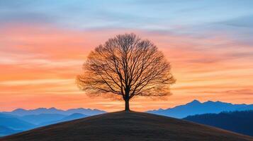 Majestic Silhouette of a Leafless Tree on a Hilltop at Sunrise with Mountain Range Background Peaceful Nature Landscape photo
