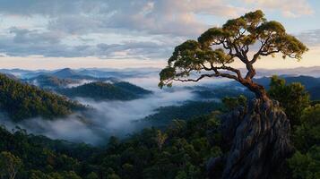 Majestic Tree on a Clifftop Overlooking Misty Mountain Landscape at Dawn A Breathtaking View of Serene Nature photo