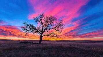 Stunning Sunset Landscape with Silhouetted Tree in a Grassy Field Vibrant Colors Dramatic Sky photo