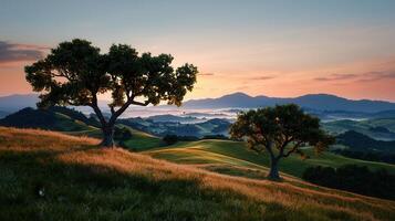 Serene Sunrise Landscape Rolling Hills and Majestic Trees at Dawn photo
