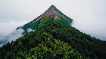 Majestic Mountain Peak Soaring Above a Lush Green Forest Landscape on a Misty Day photo