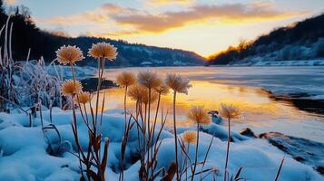 Frosty Winter Sunset Landscape with Frozen River and Plants Serene nature scene at golden hour photo