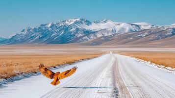 Majestic Eagle Soaring Over Snowy Road Towards Mountain Range Winter Landscape photo