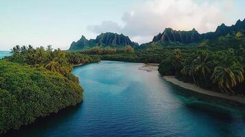 Serene Tropical River Scene Lush Green Palm Trees Encircling Calm Waters Against Dramatic Mountain Background photo