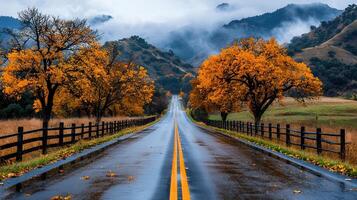 Scenic Autumn Road Journey Golden Trees Line a Wet Highway through Misty Mountains photo