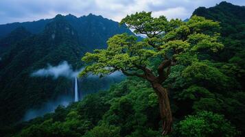 Majestic Waterfall Cascading Down Lush Mountains with a Large Tree in the Foreground Serene Nature Landscape photo