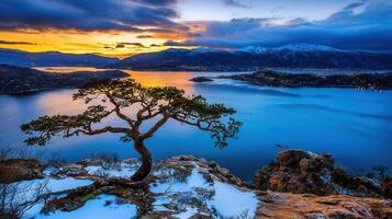 Stunning Winter Sunset Landscape Lone Tree on Rocky Peak overlooking Serene Fjord and Snowy Mountains photo