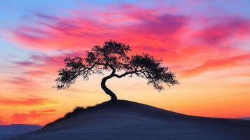 Serene Sunset Landscape Silhouette of a Tree on a Hill Against Vibrant Sky photo