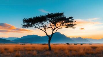 Serene Sunset Landscape Lone Tree in Golden Grassland with Mountain Range Background photo