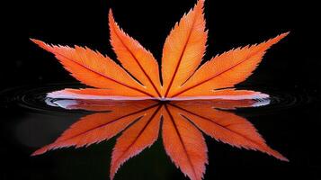 A Single Orange Maple Leaf Floats on Dark Water Creating a Stunning Reflection Autumn Nature photo