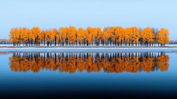Stunning autumn landscape Golden trees reflected in a calm lake during winter s first frost photo