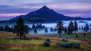 Serene Mountain Landscape at Dawn Mist Shrouds Valley Trees and Grassland photo