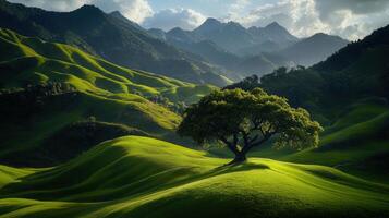 Serene Landscape Photo of a Single Tree on Rolling Green Hills and Majestic Mountains Background