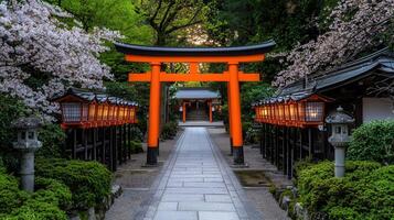 Serene Japanese Shrine Pathway Tranquil Torii Gate with Cherry Blossoms and Lanterns at Dusk photo