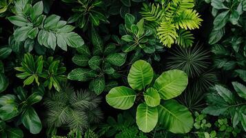 Lush Green Tropical Foliage Background Vibrant Leaf Texture Image for Design Projects photo
