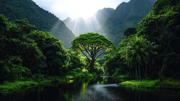 Serene Tropical River Scene Lush Green Rainforest with Majestic Tree and Sun Rays photo