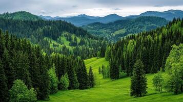 Lush Green Mountain Landscape with Rolling Hills and Evergreen Forests Picturesque scenery of a vast natural area photo
