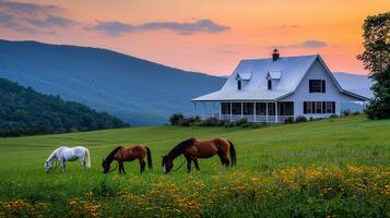 Serene Sunset View of a Farmhouse and Horses Grazing in a Wildflower Meadow photo