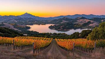 Stunning Autumn Vineyard Landscape at Sunset Overlooking Serene Lake and Majestic Mountains photo