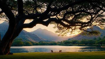 Serene Sunset View Lakeside Relaxation with Mountain Panorama under a Majestic Tree photo